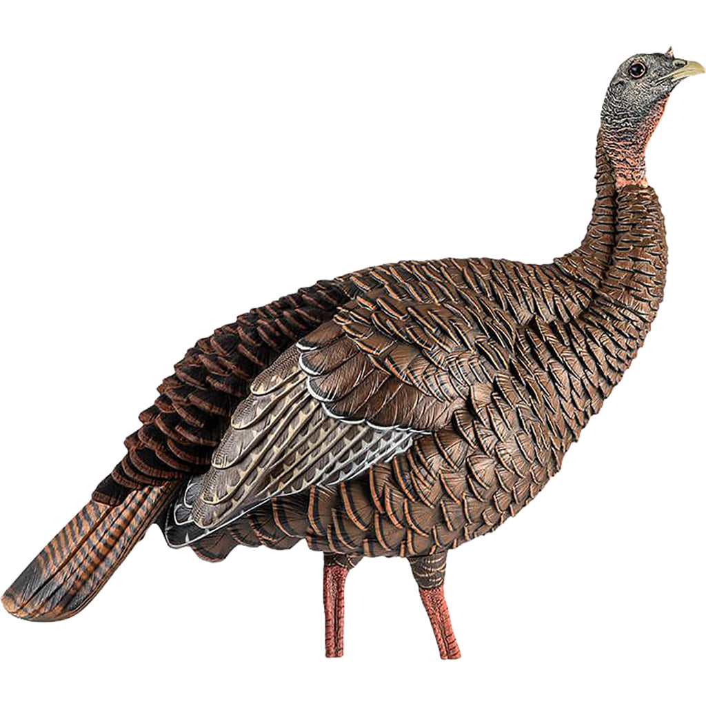 Avian-X HDR Hen Decoy - Realistic Duck Decoy for Hunting