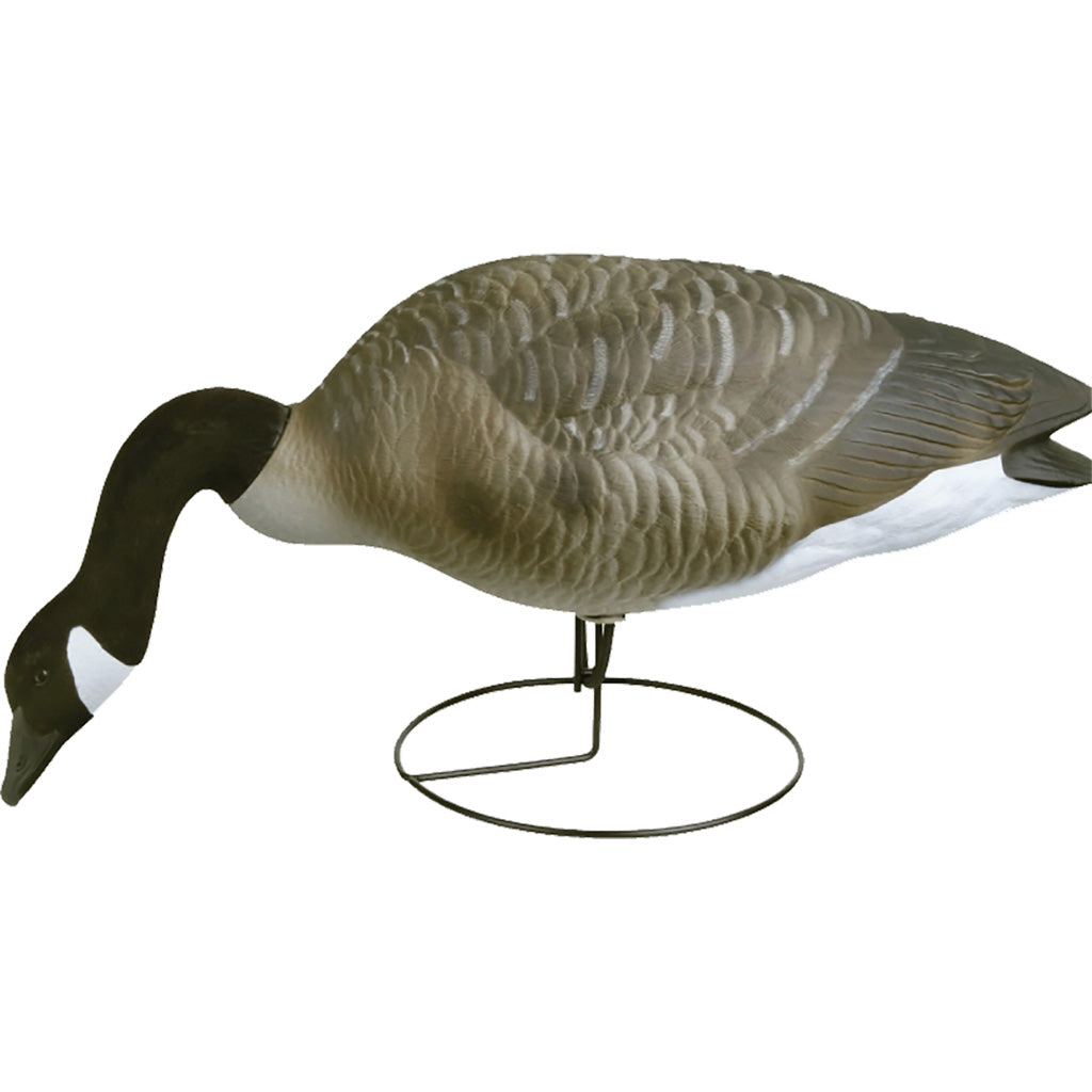 Flambeau Field Pack Canada Goose Decoy 6 pk.