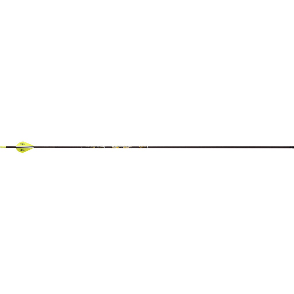 Victory RIP XV Elite Arrows 300 2 in. Vanes 6 pk.