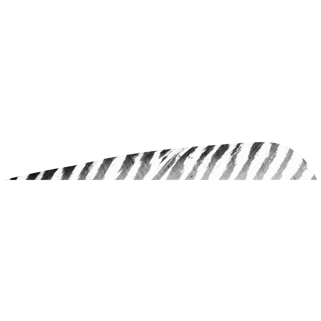 Gateway Barred Feathers White 5 in. RW - 50 Pack