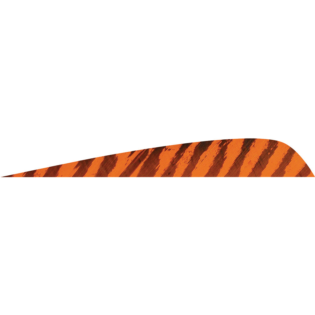 Gateway Parabolic Feathers Barred Orange 4 in. LW - 50 Pack