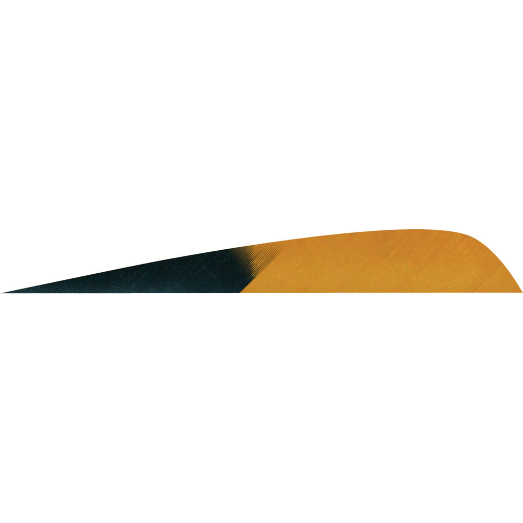 Gateway Kuro Brown Parabolic Feathers 4 in. LW - 50 Pack