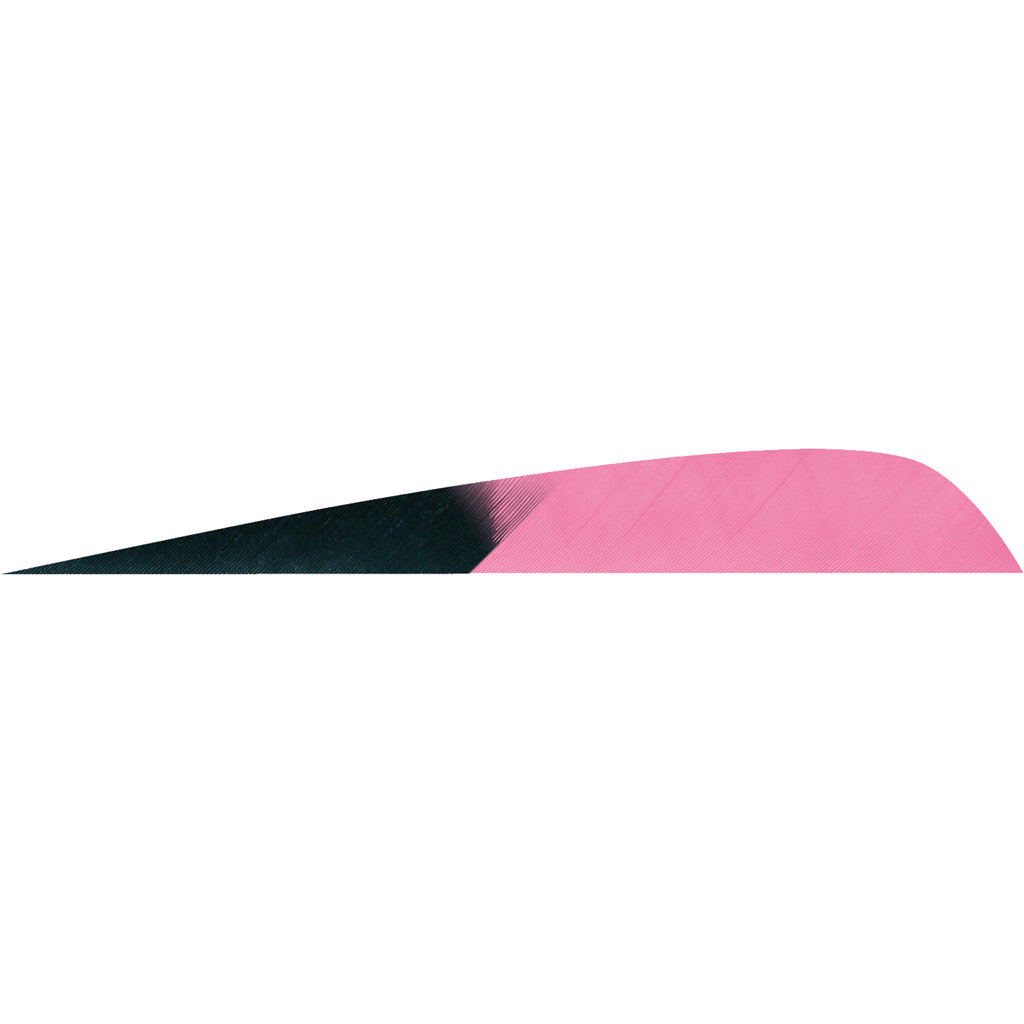 Gateway Kuro Pink 4 in. Parabolic Feathers - 50 Pack