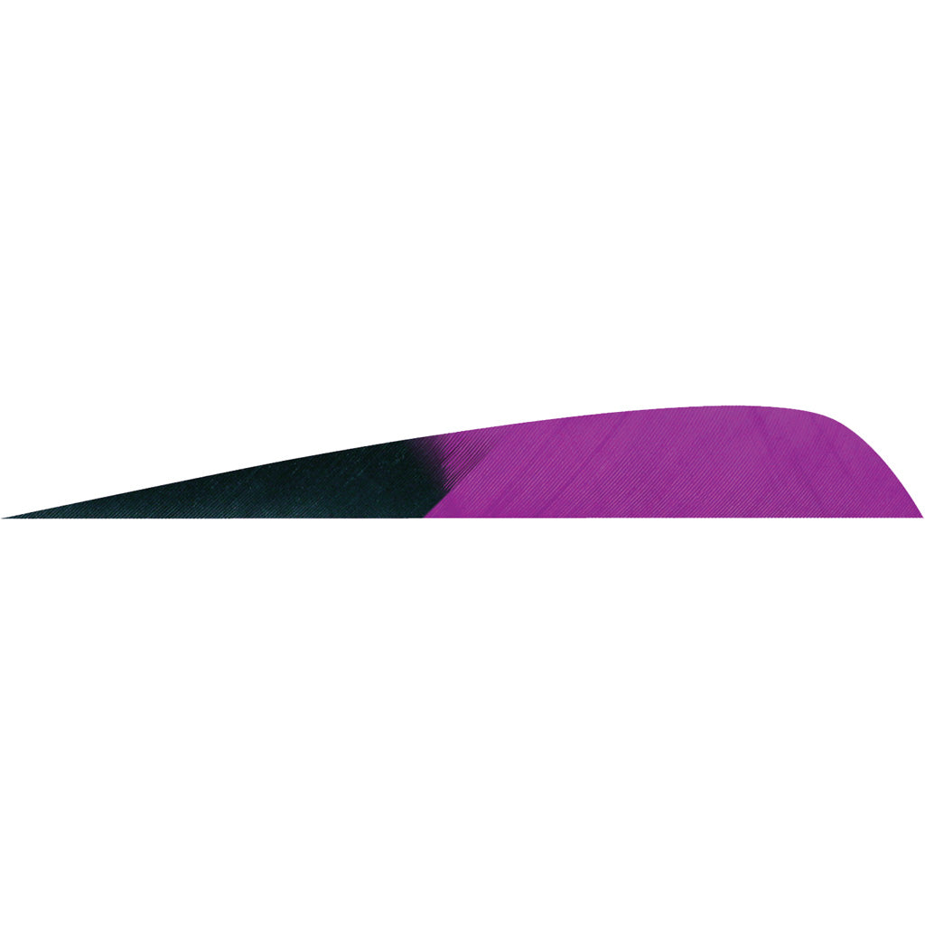 Gateway Parabolic Feathers Kuro Purple 4" LW 50 Pack