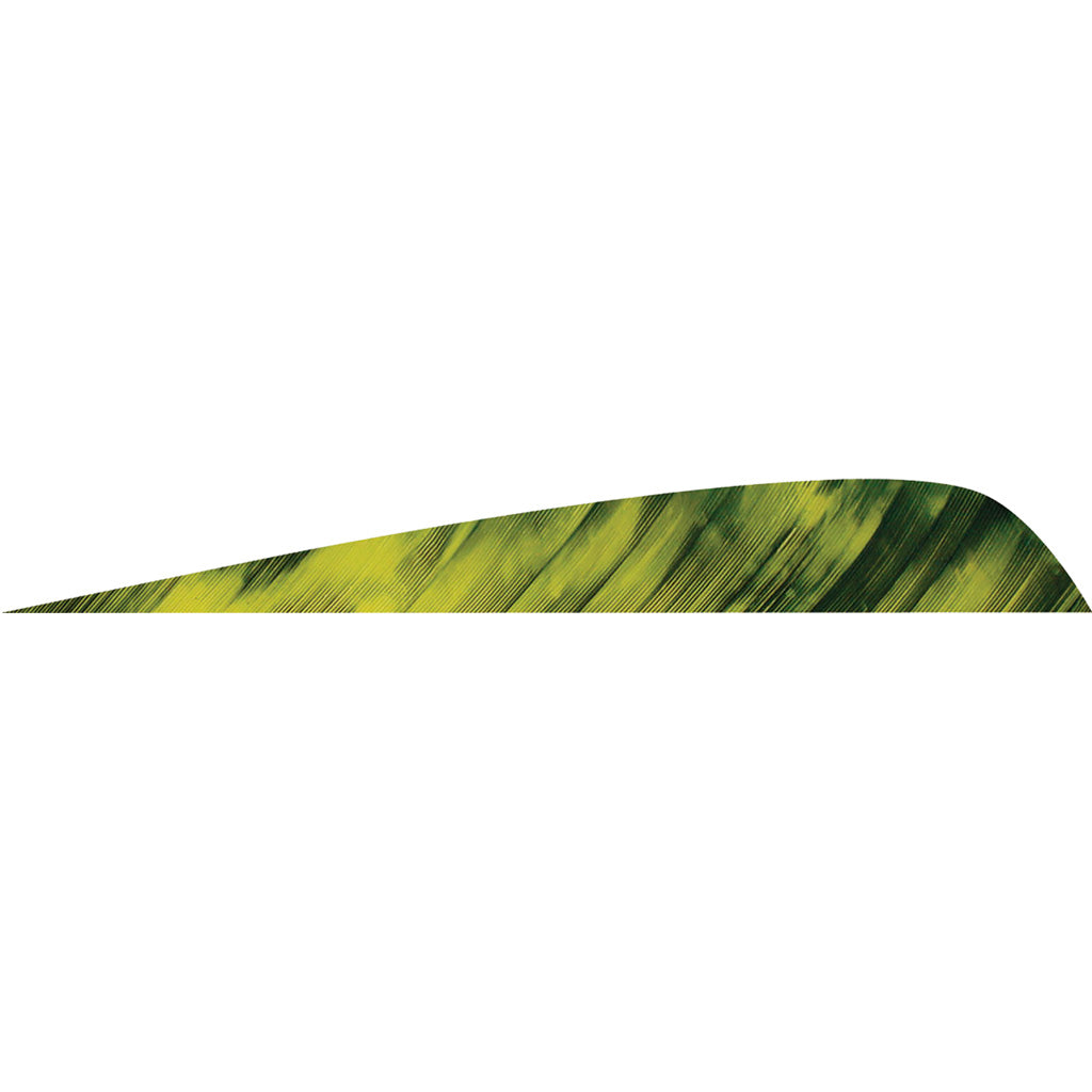 Gateway Parabolic Feathers Tre Yellow 4 in. LW 50 pk.