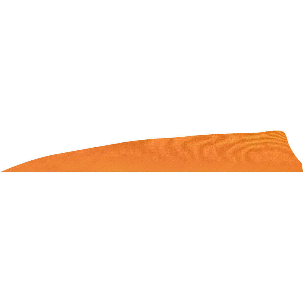 Gateway Shield Cut Feathers Flo Orange 4 in. LW - 50 Pack