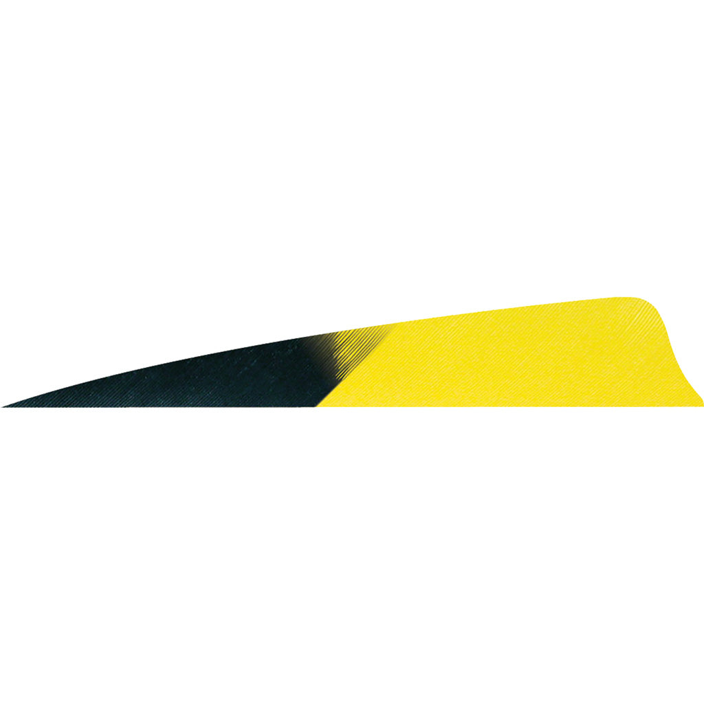 Gateway Shield Cut Feathers Kuro Flo Yellow 4 in. LW 50 pk.