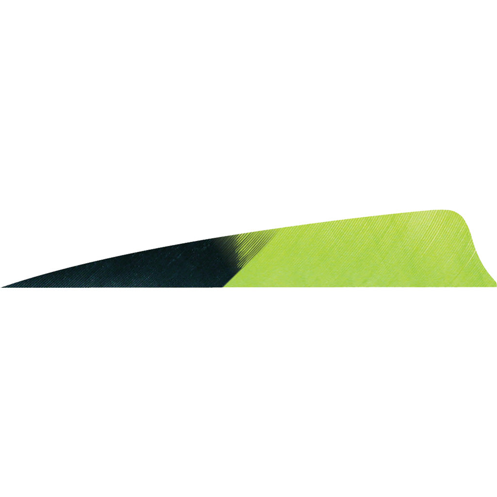Gateway Shield Cut Feathers Kuru Chartreuse 4 in. RW - 50 Pack
