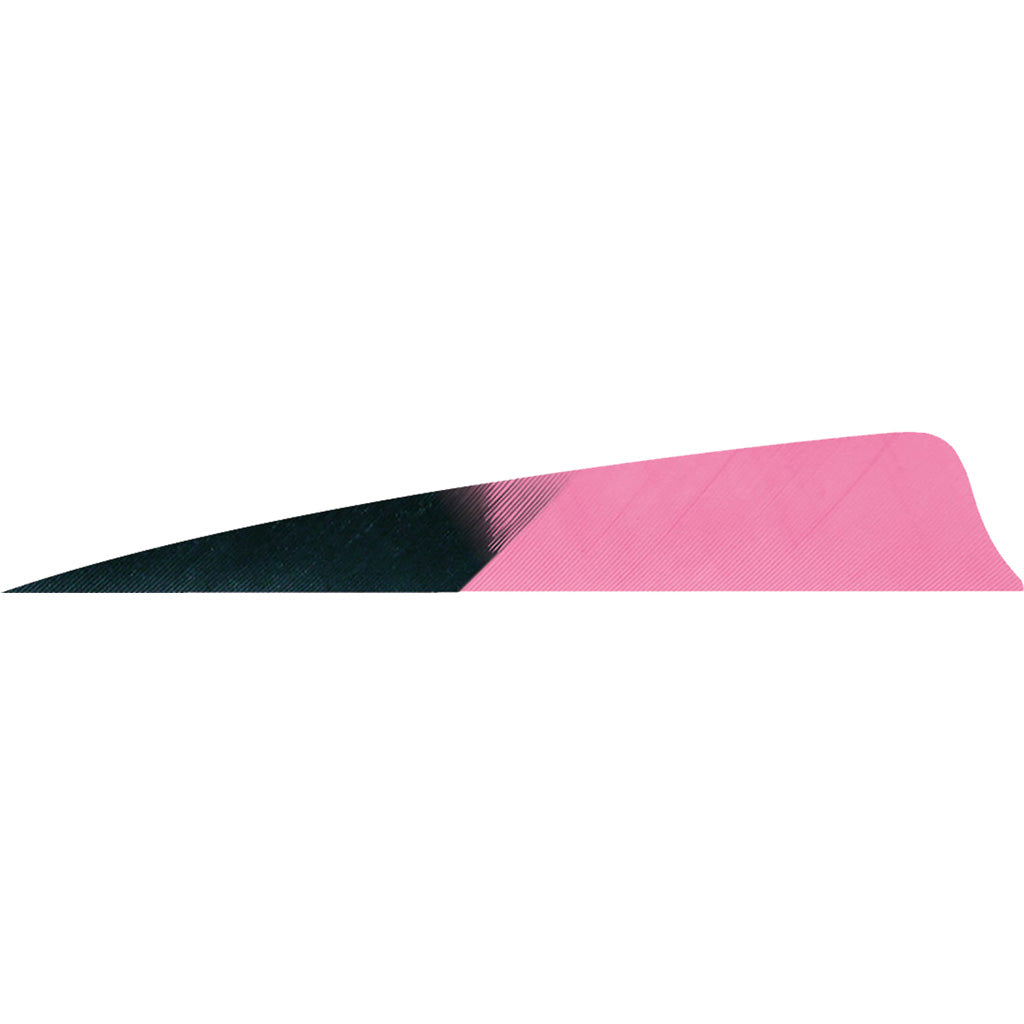 Gateway Shield Cut Feathers Kuru Flo Pink 4 in. RW - 50 Pack
