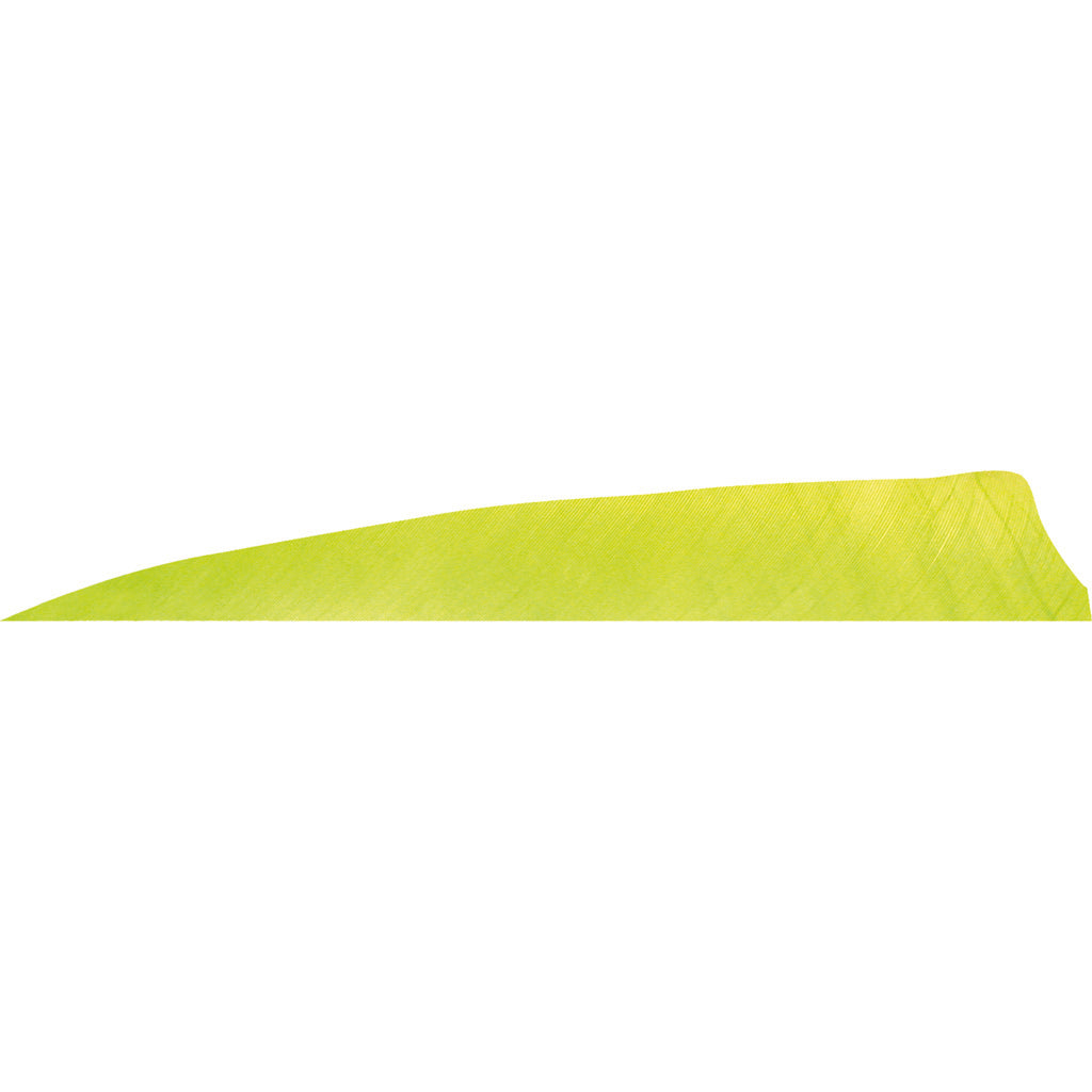 Gateway Shield Cut Feathers Lemon Lime 4 in. RW - 50 Pack
