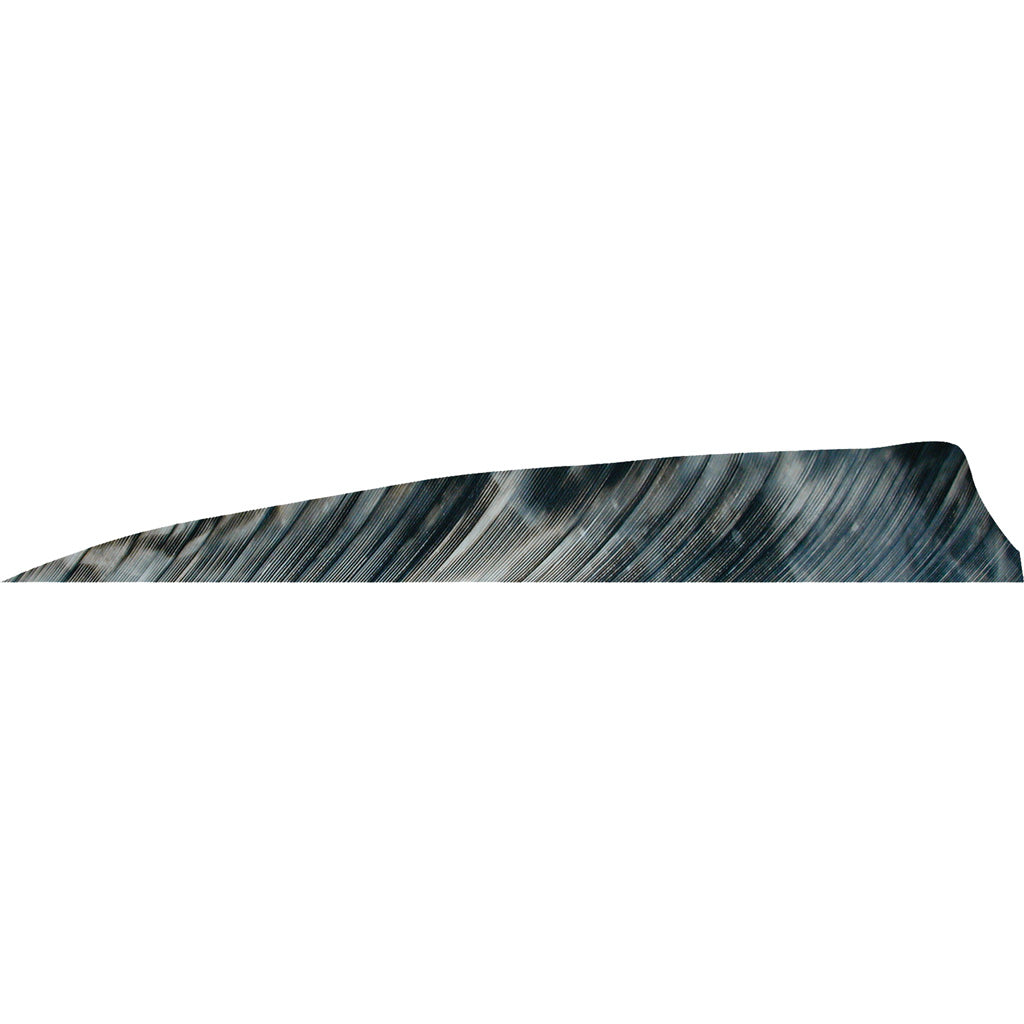Gateway Shield Cut Feathers Tre Bark 4 in. RW - 50 Pack