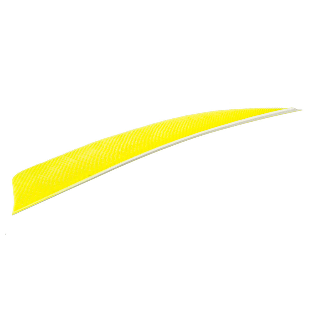 Trueflight Shield Cut Feathers Chartreuse 5 in. LW 100 pk.