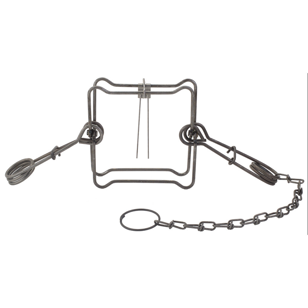 Duke Body Grip Trap No. 160 - Ideal for Raccoon, Fisher, and Groundhog Control