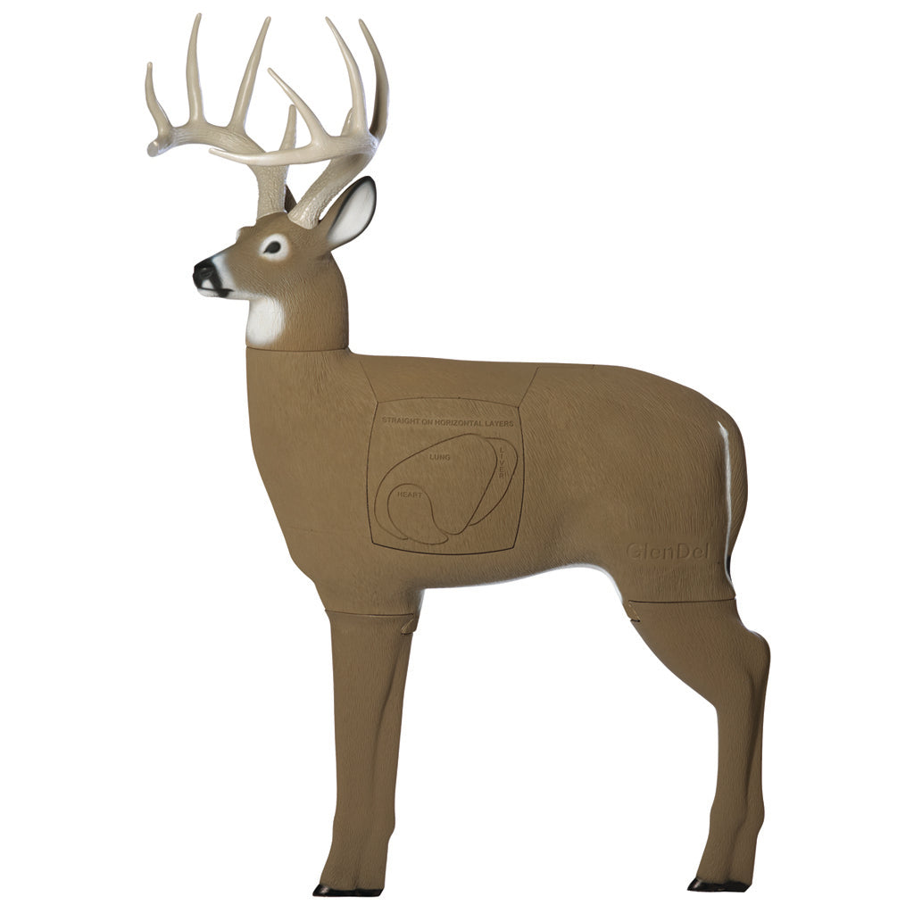 GlenDel Buck Target - Realistic 200 lb Whitetail Archery Target