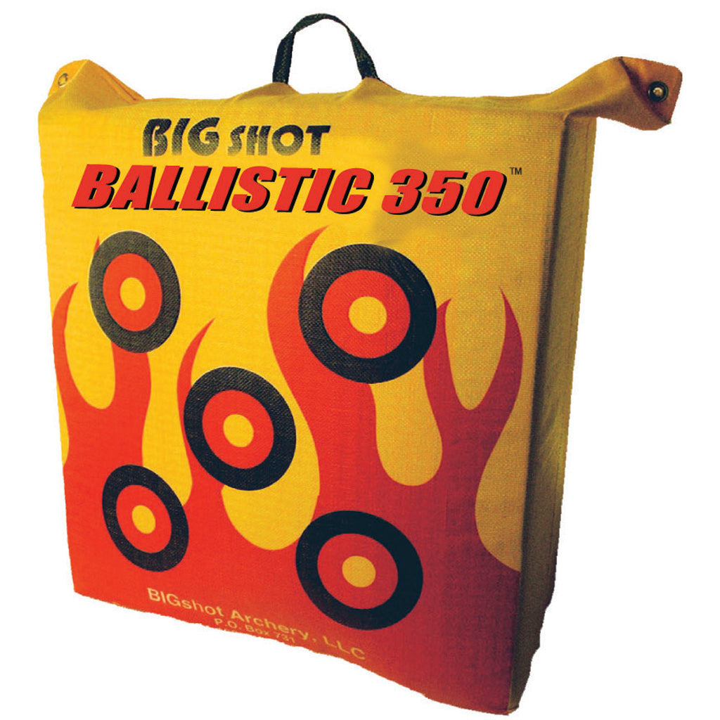 BIGshot Ballistic 350 Bag Target - High Definition Shooting Target