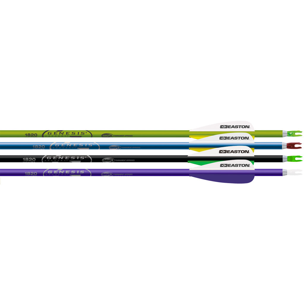 Easton Genesis Arrows 1820 with 3-inch Vanes - Purple/Black/Teal/Green - 72 Pack