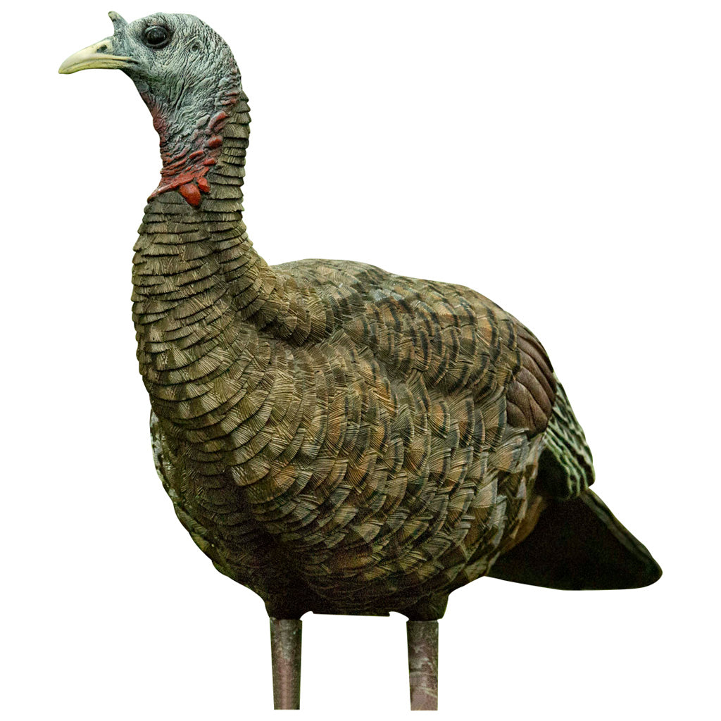 Avian-X Lookout Turkey Decoy - Realistic Hunting Companion