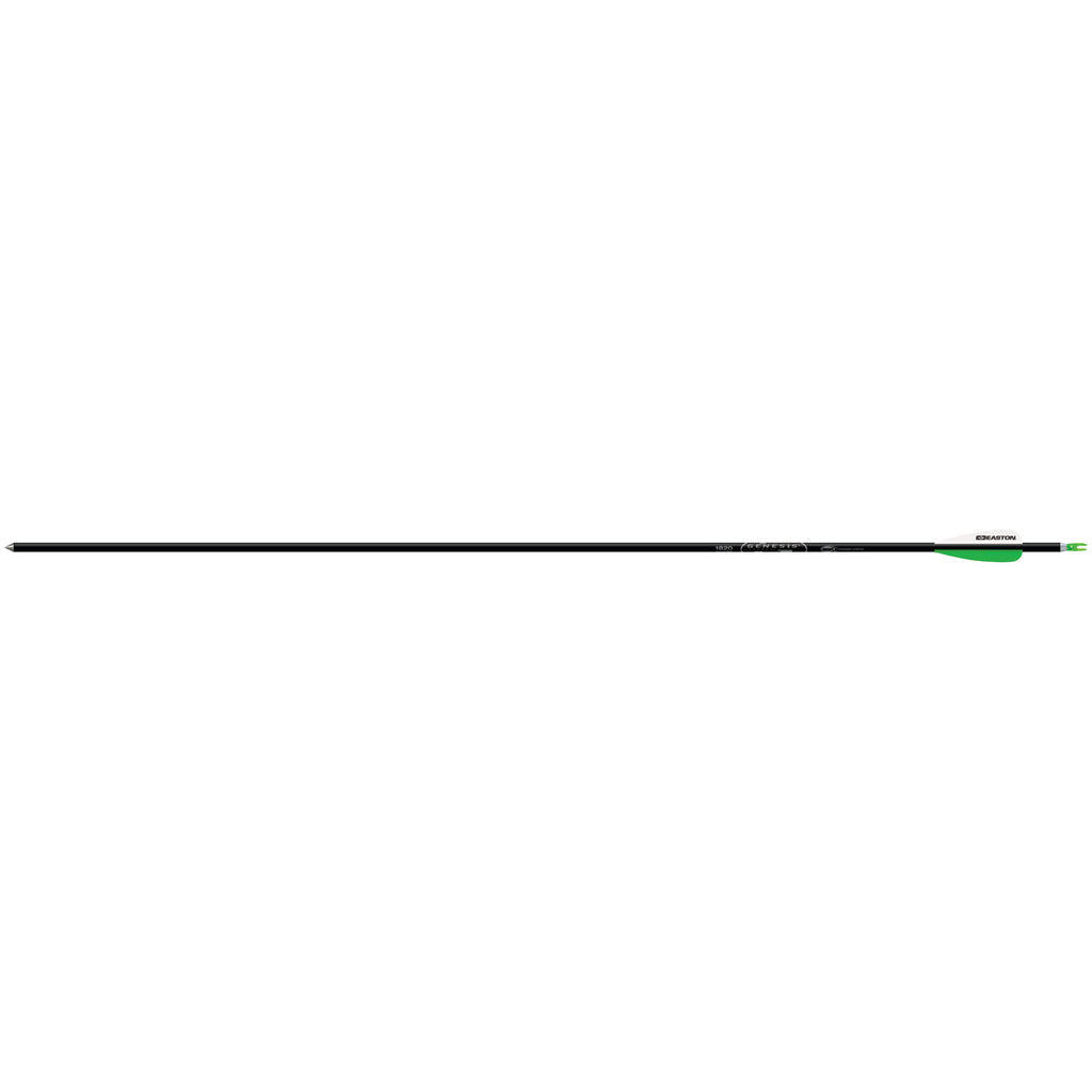 Easton Genesis Arrows Black 1820 6 pk.
