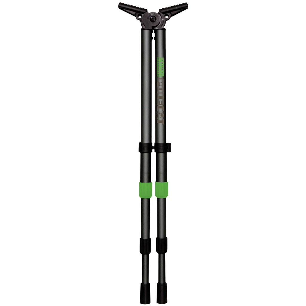 253234353.jpg