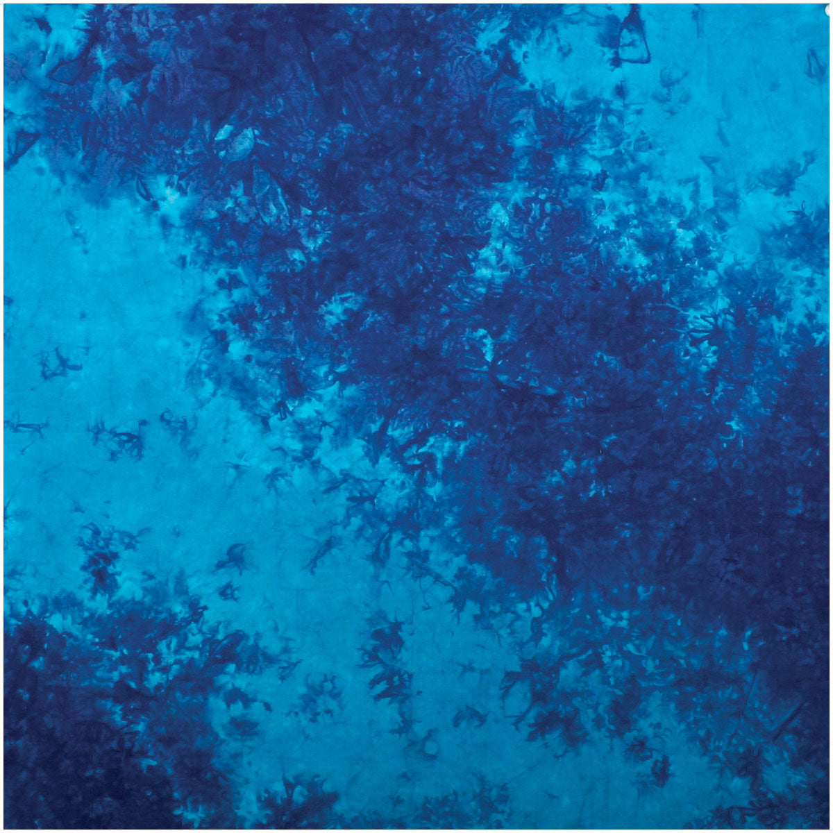 Carolina Manuf Bandana Tie Dye Blue with UPC Tag