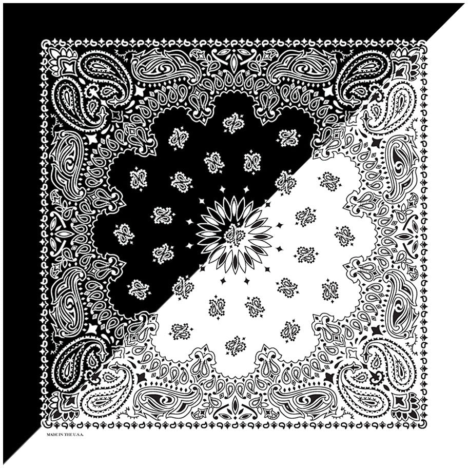 CAROLINA MANUF Split Paisley Black/White Fabric