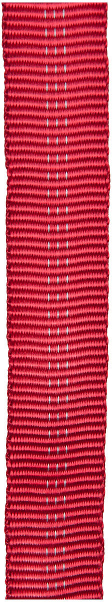 30 Ft 1" Webbing Red