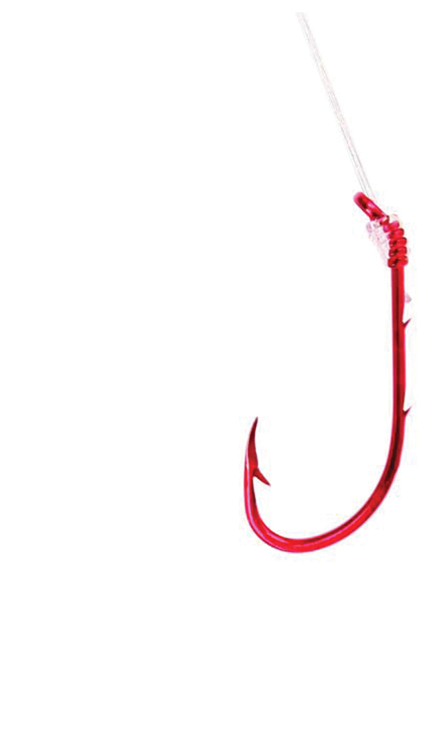 EAGLE CLAW Baitholder Snell Assortment