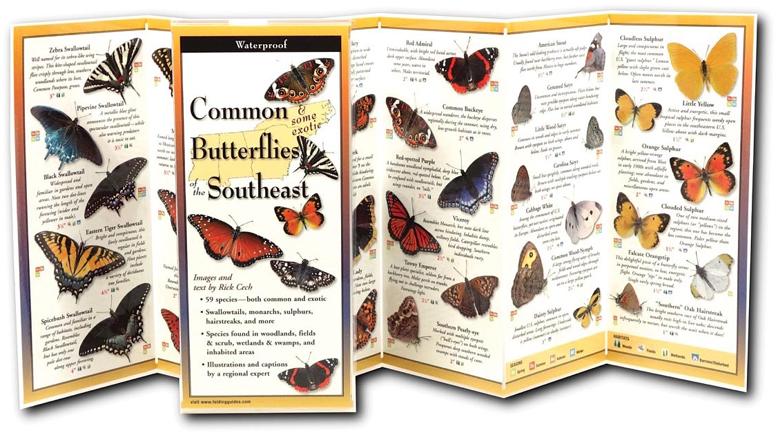 Earth Sky+Water Butterflies Southeast Guide