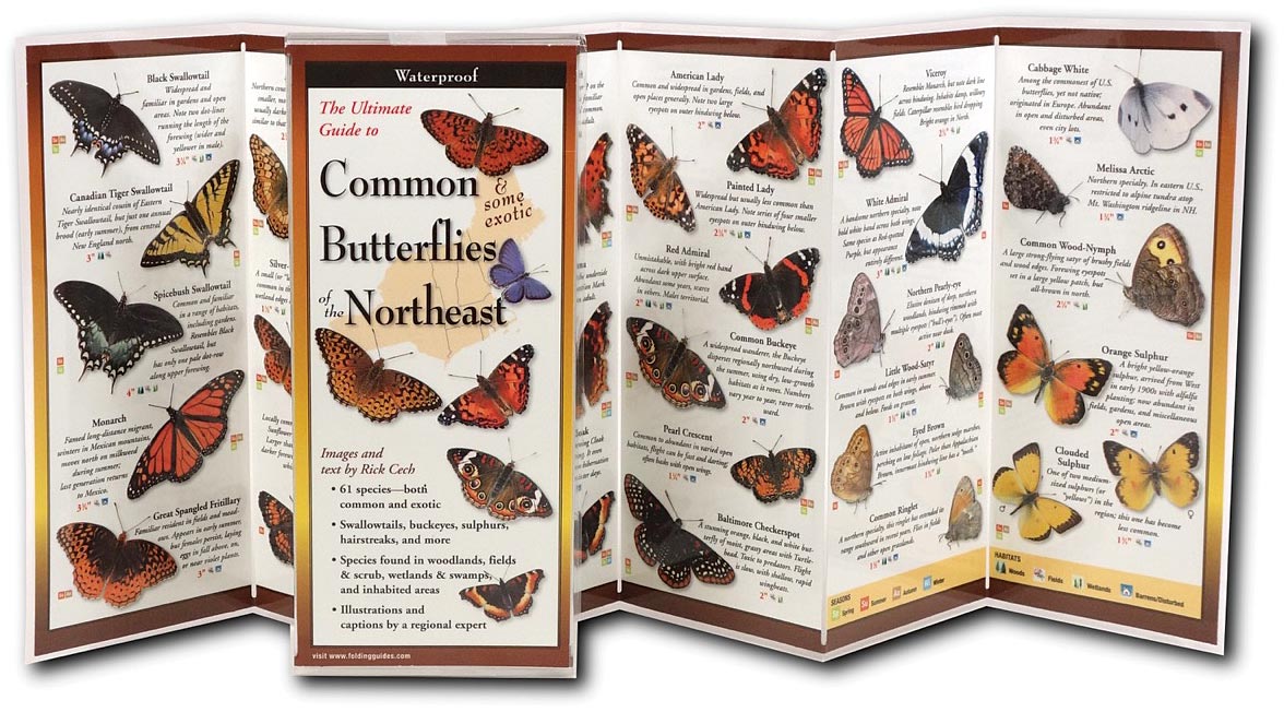 Earth Sky+Water Butterflies Northeast Guide - Comprehensive Identification Book