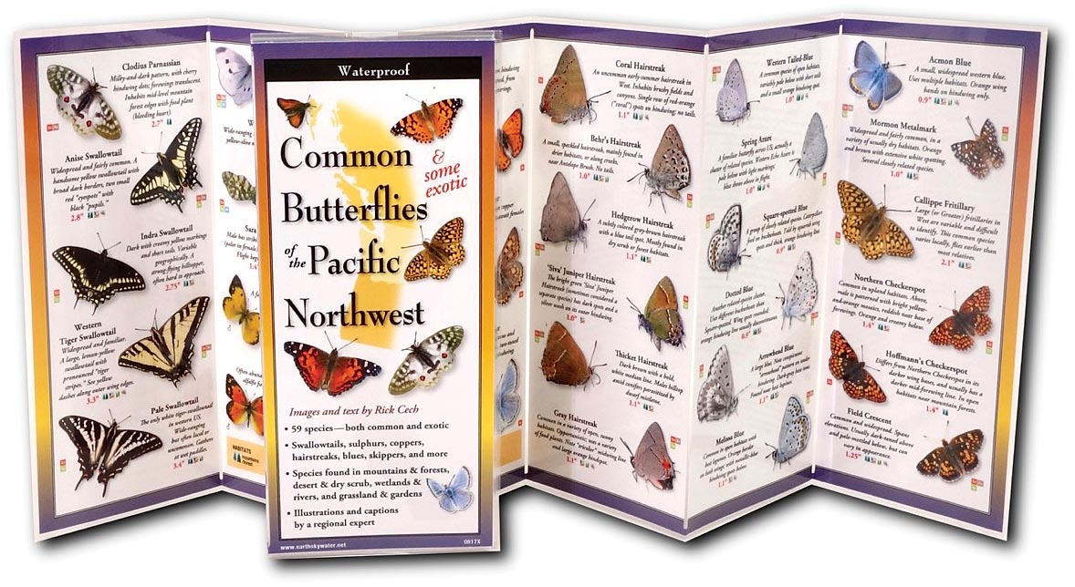 Earth Sky+Water Butterflies Northwest Guide