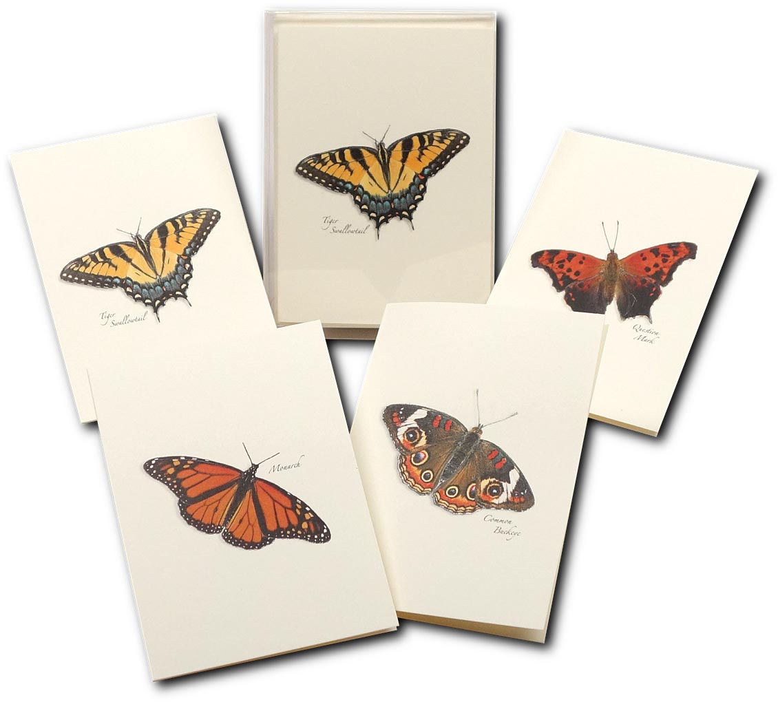EARTH SKY+WATER Butterfly Notecards - Beautifully Designed Stationery