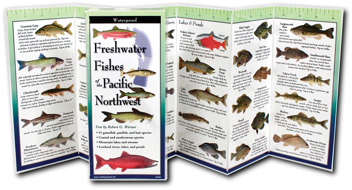 EARTH SKY+WATER Folding Guide Fish Northwest - Compact Identification Card