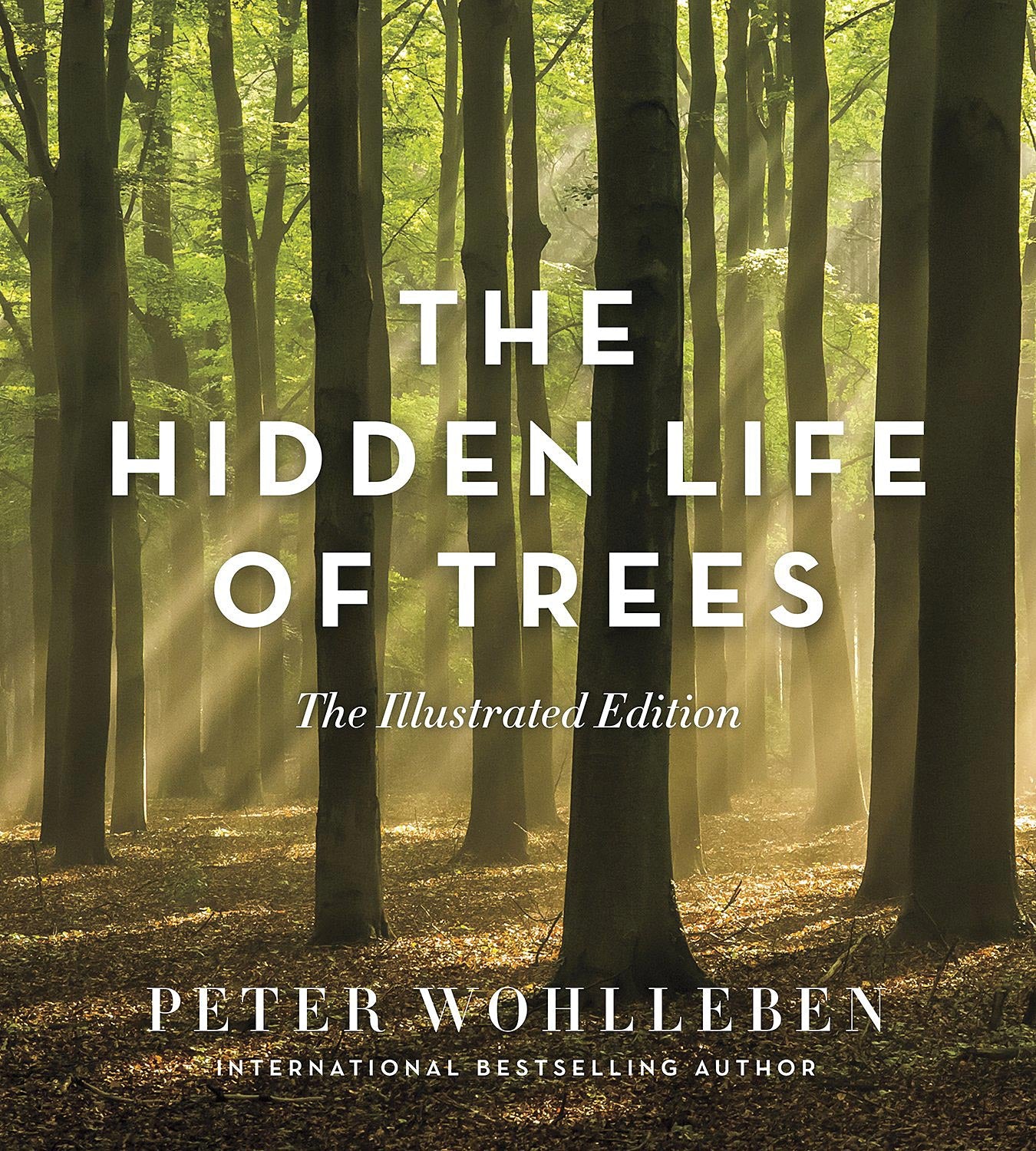GREYSTONE BOOKS Hidden Life of Trees - Insightful Exploration of Forest Ecosystems