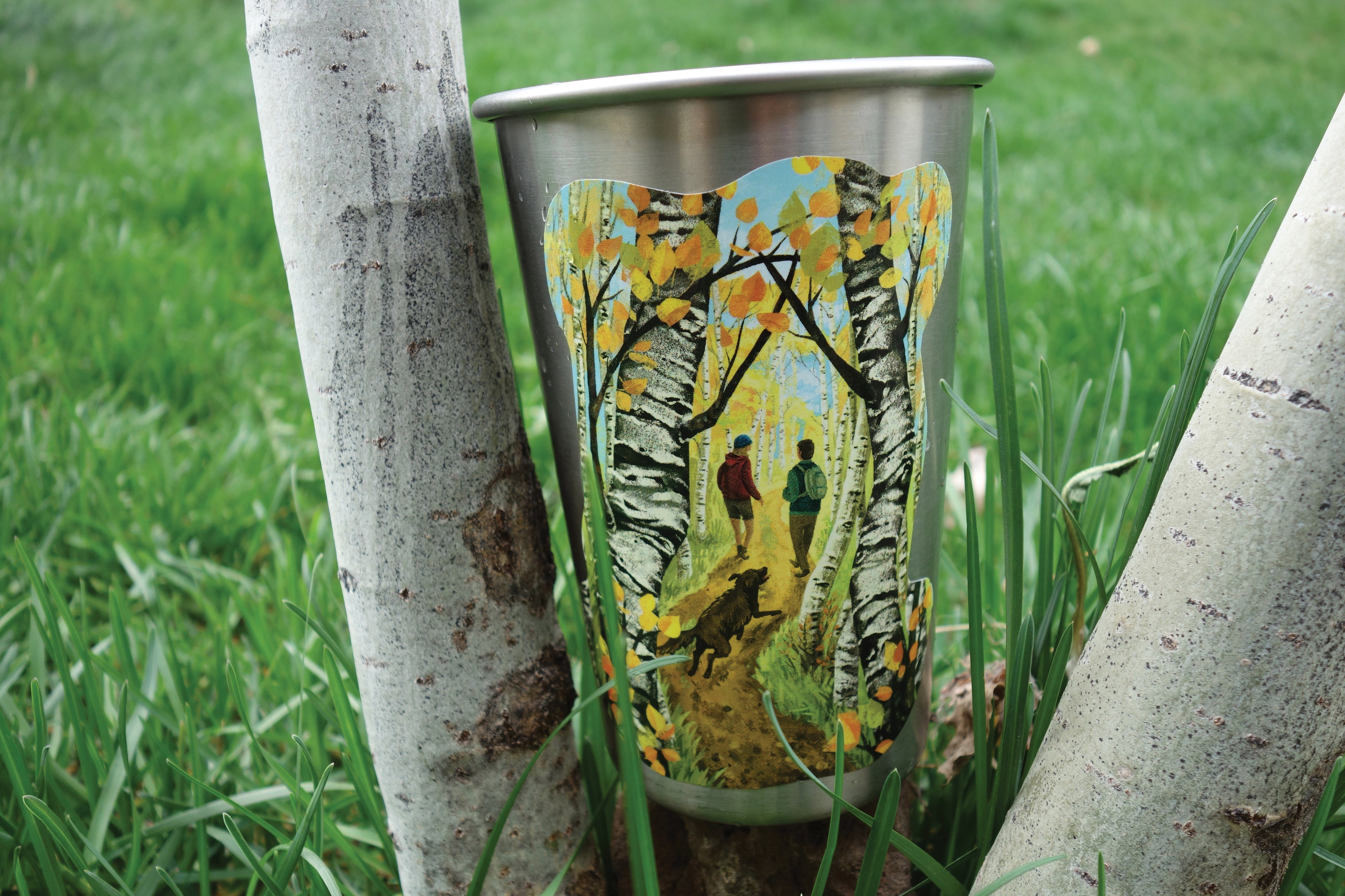 Hike Through Aspens
