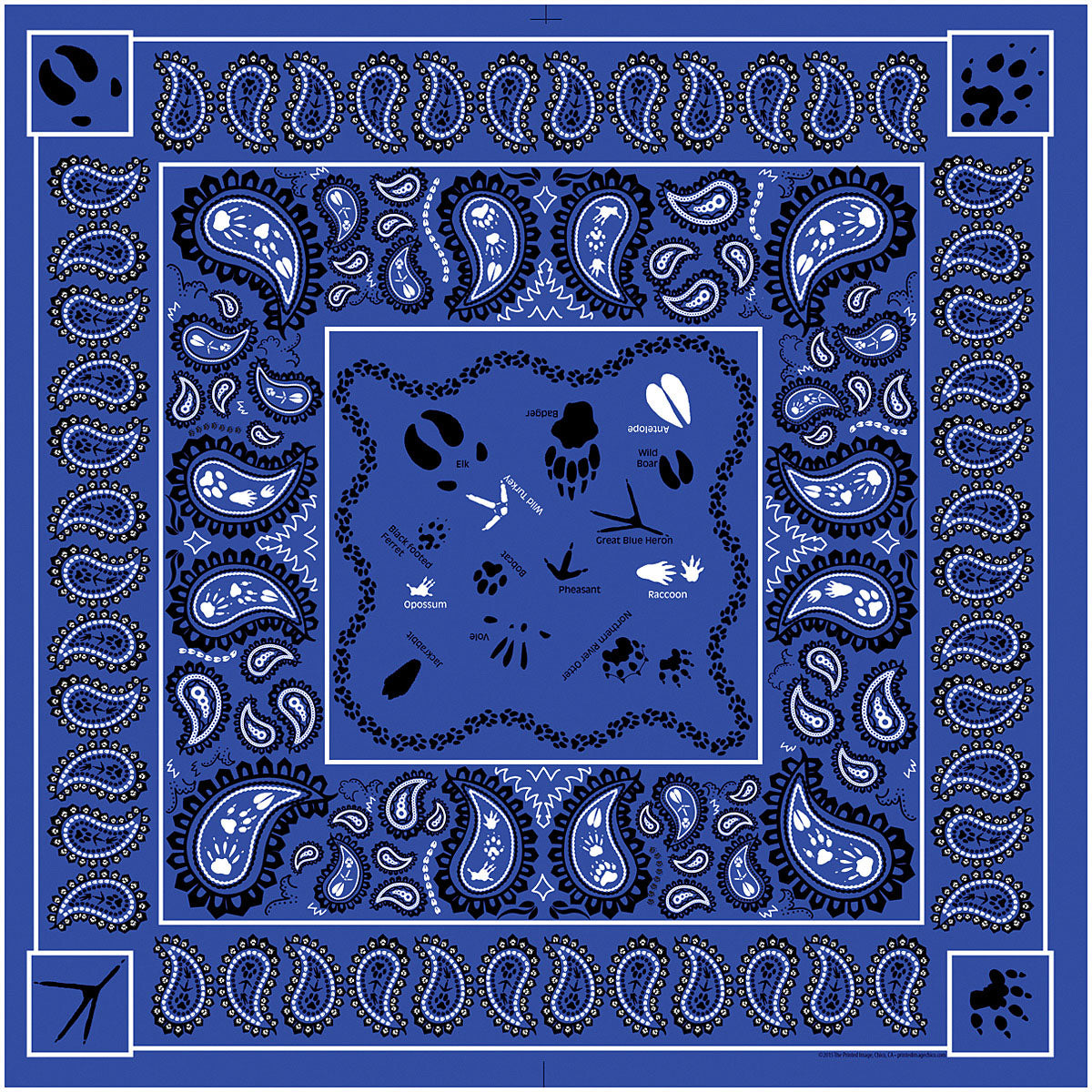 Paisley Tracks