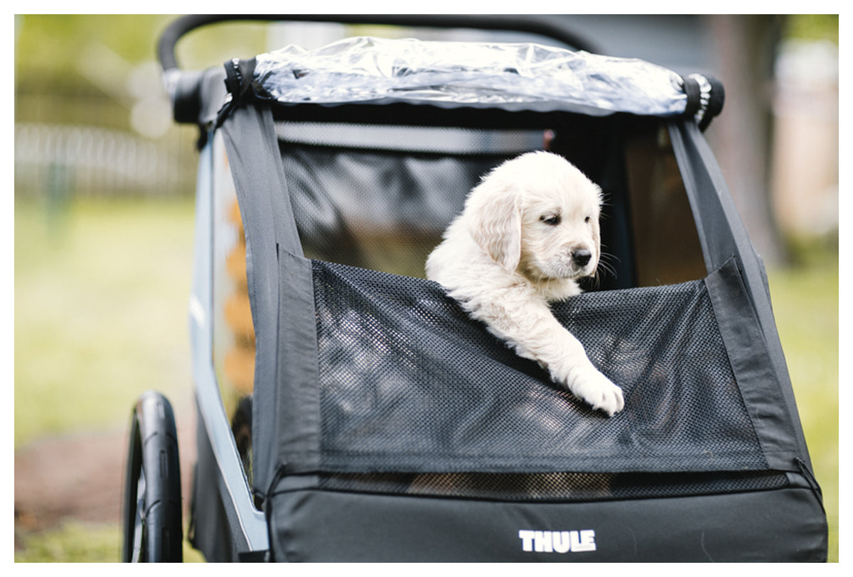 Thule Courier Pet Kit - Comfortable and Secure Travel for Pets
