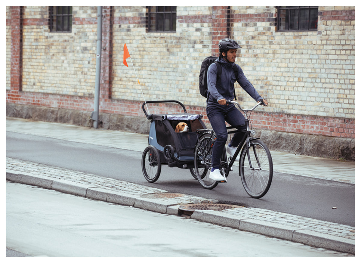 Thule Courier Pet Kit - Comfortable and Secure Travel for Pets