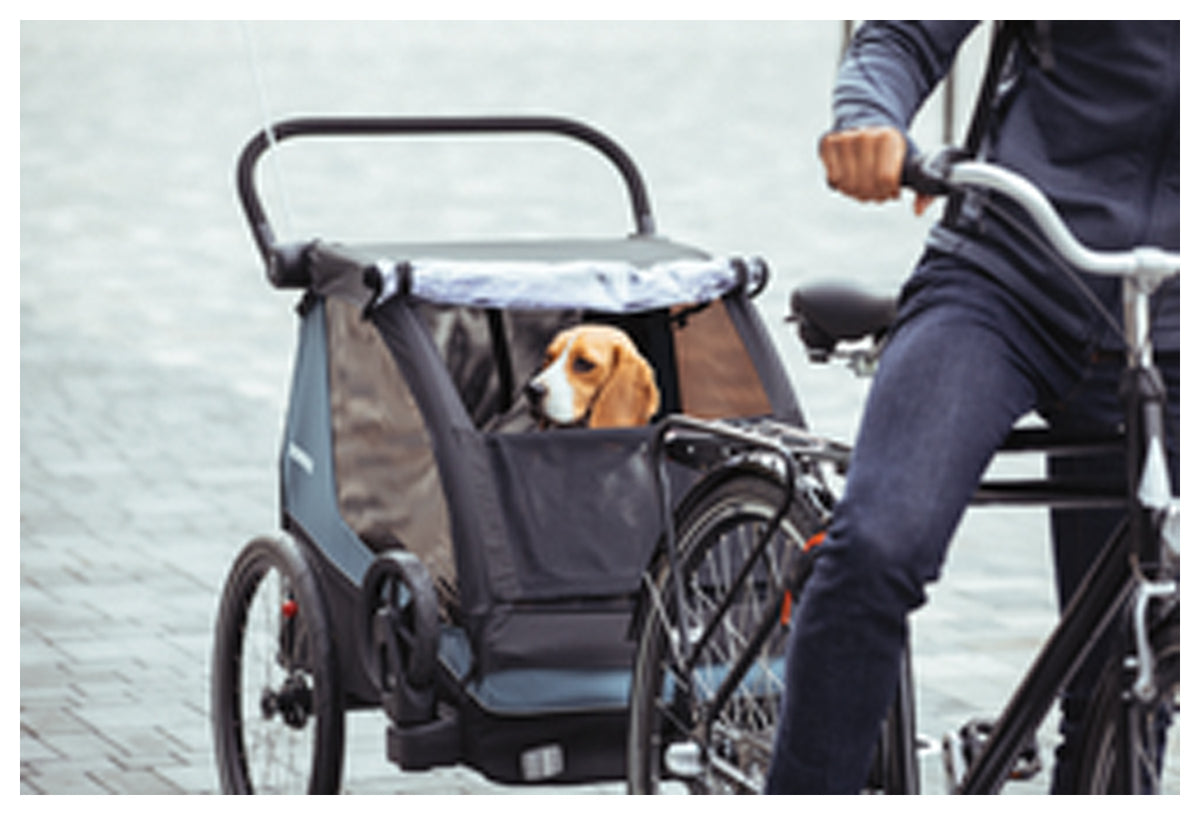 Thule Courier Pet Kit - Comfortable and Secure Travel for Pets