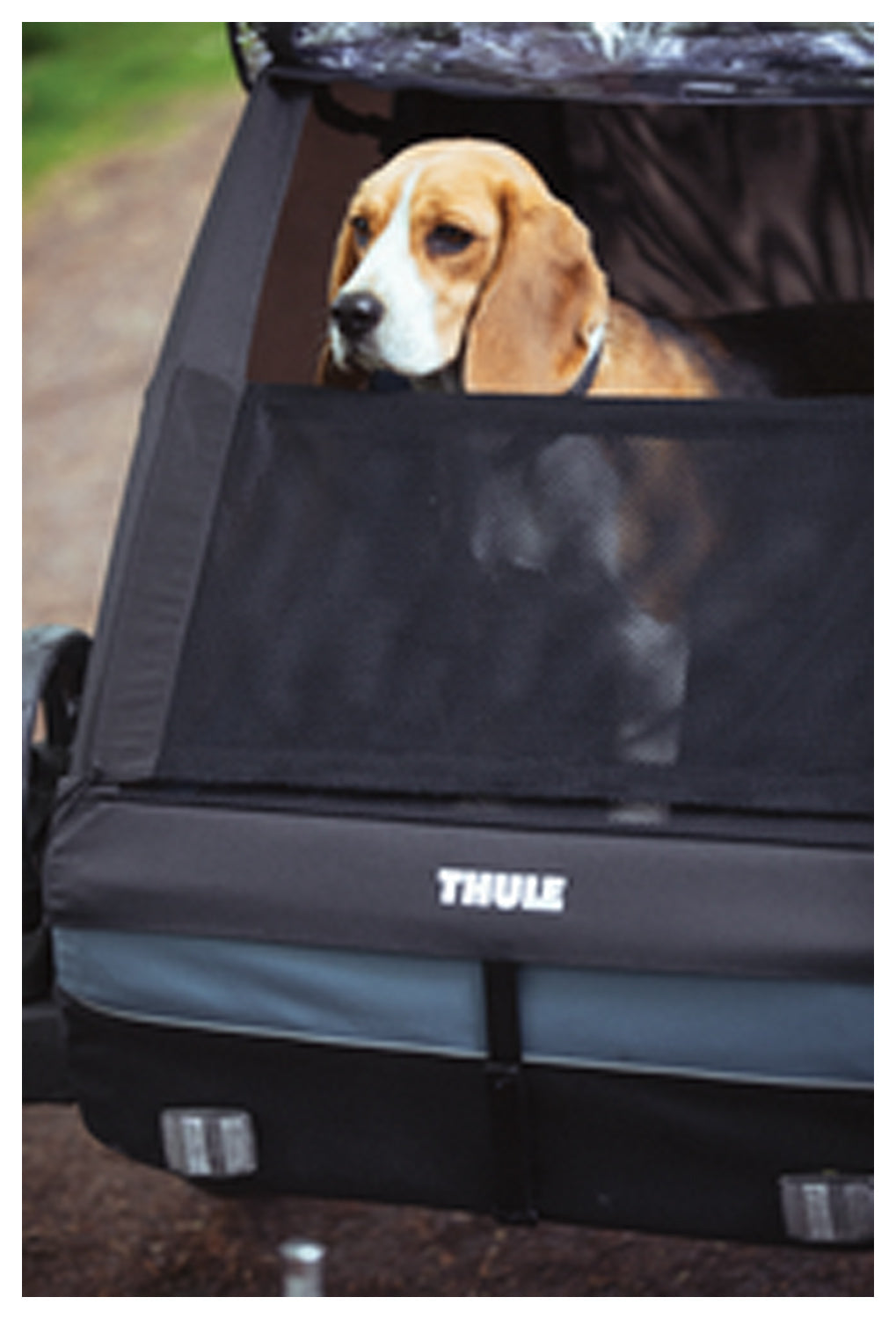 Thule Courier Pet Kit - Comfortable and Secure Travel for Pets