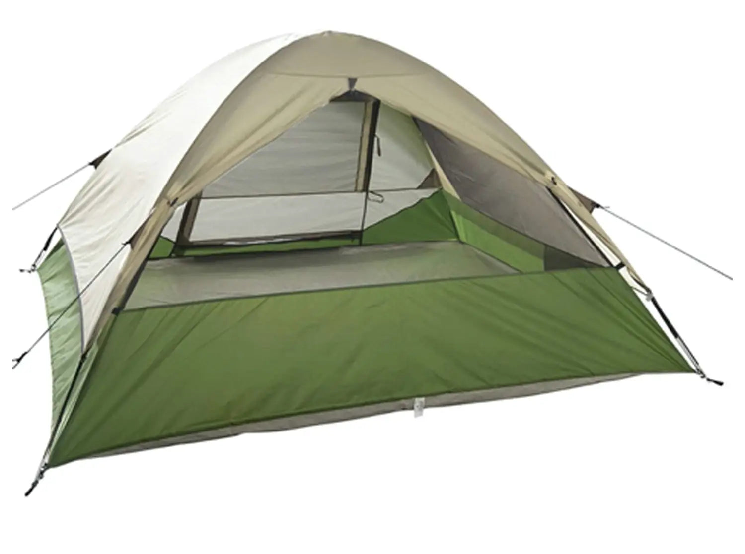 Jack Pine 4 Person Dome Fern