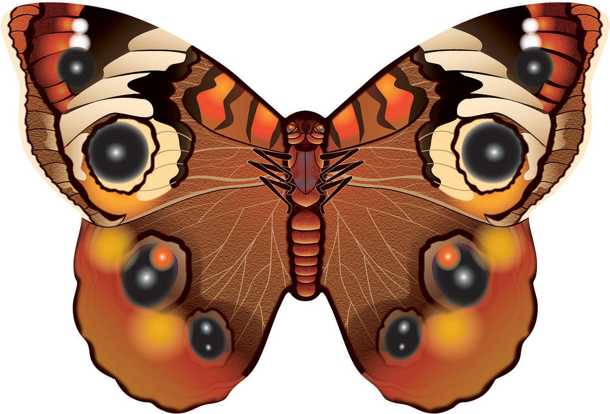Microbutterfly Buckeye
