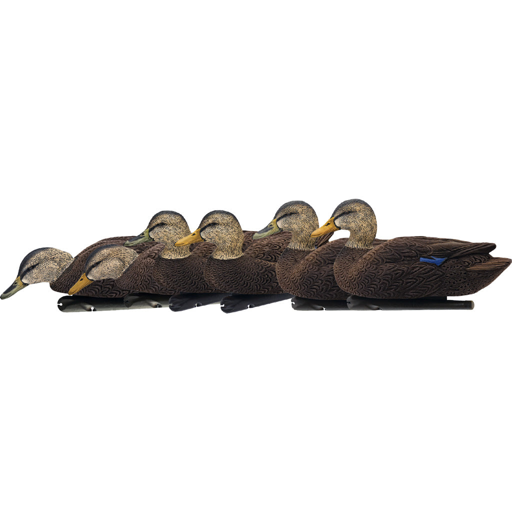 AvianX Top Flight Duck Decoys Flocked Black Duck 6 pk.