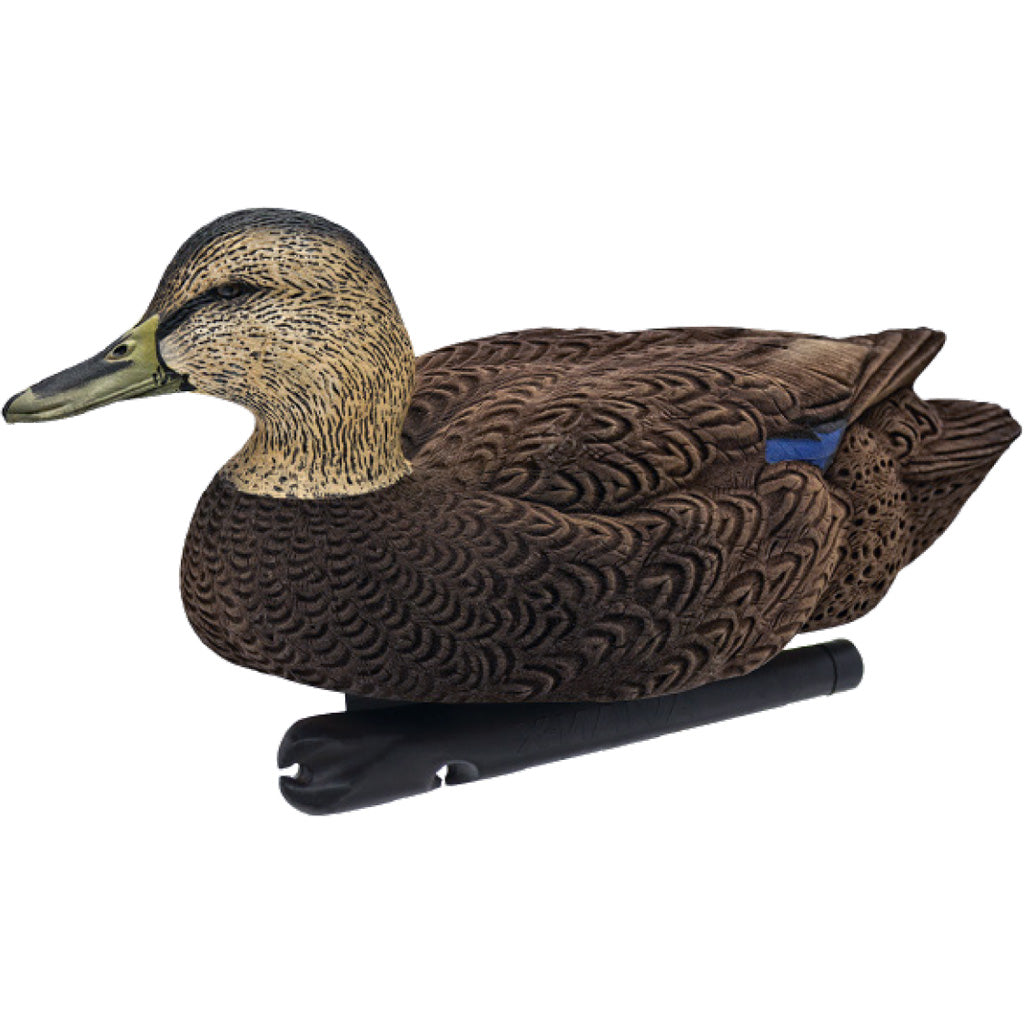 AvianX Top Flight Duck Decoys Flocked Black Duck 6 pk.