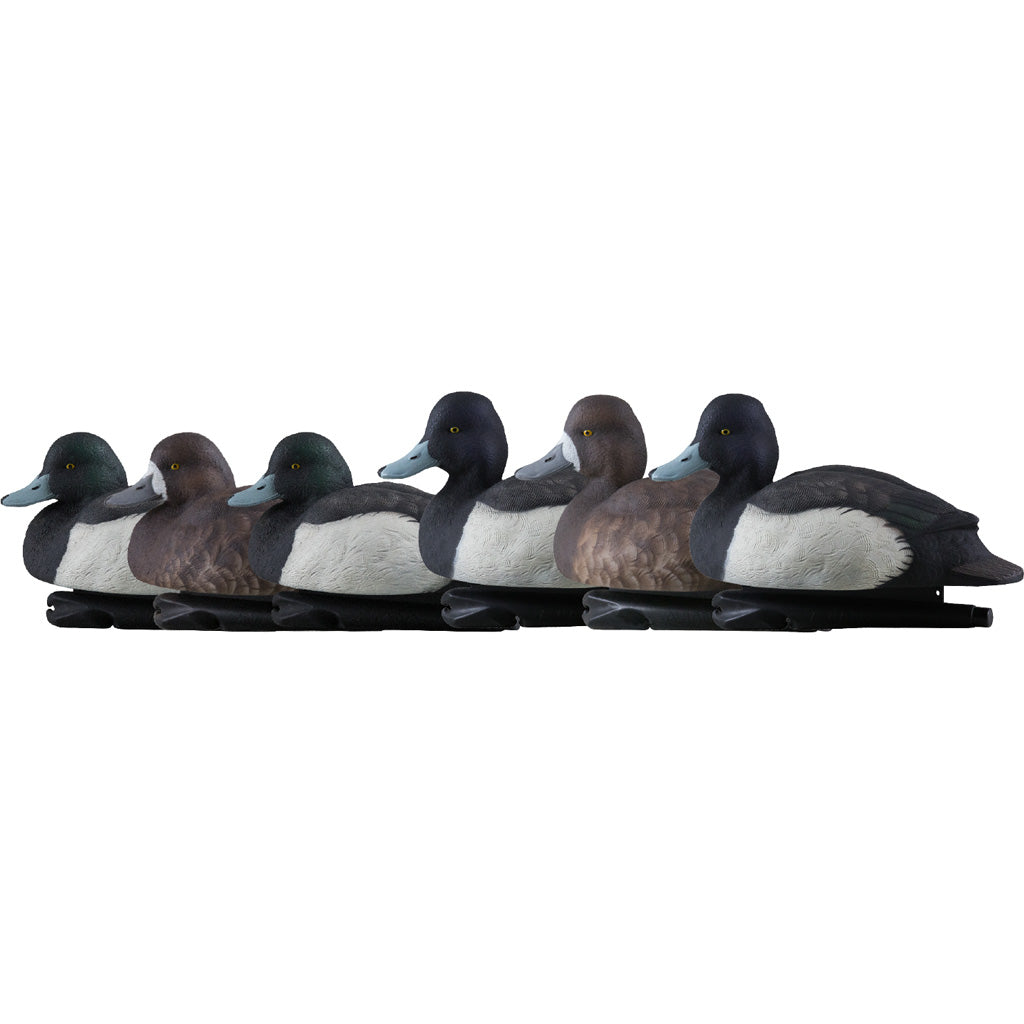Avian-X Top Flight Duck Decoys Blue Bills 6 Pack
