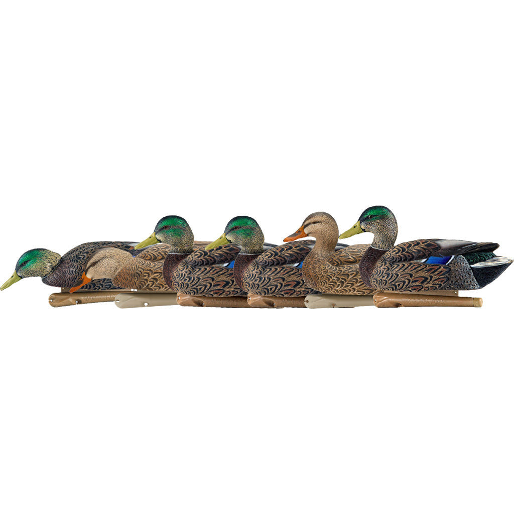 Avian-X Top Flight Duck Decoys Early Season Mallards 6 Pack