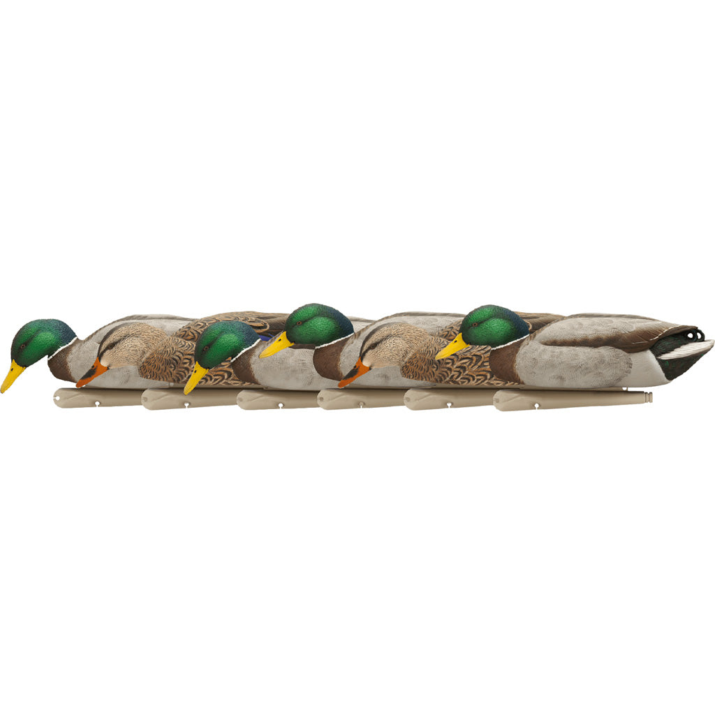 Avian-X Top Flight Duck Decoys Backwater Mallards 6 Pack - Realistic Duck Decoys for Hunting