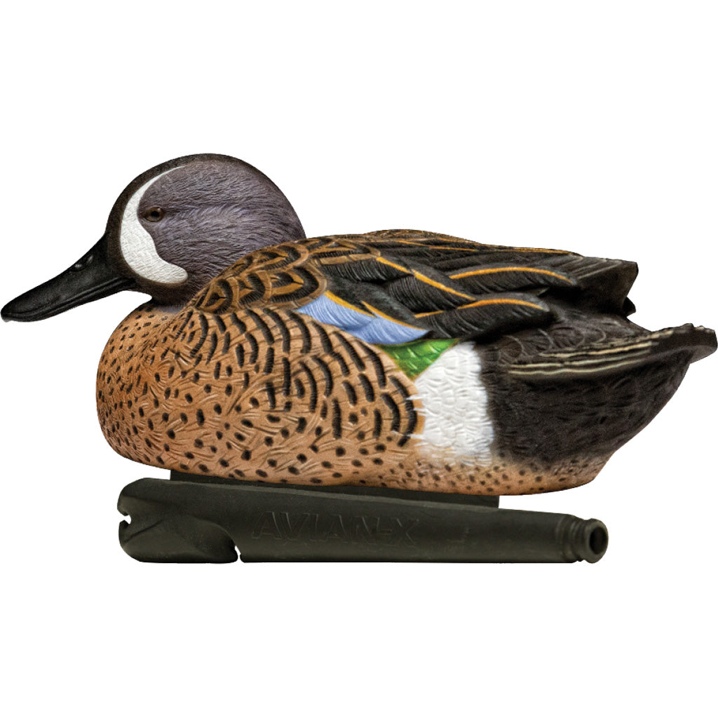 Avian-X Top Flight Duck Decoys Blue-Winged Teal 6 Pack - Realistic Hunting Decoys