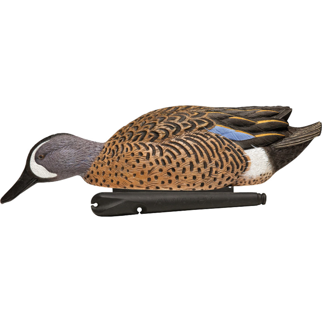 Avian-X Top Flight Duck Decoys Blue-Winged Teal 6 Pack - Realistic Hunting Decoys