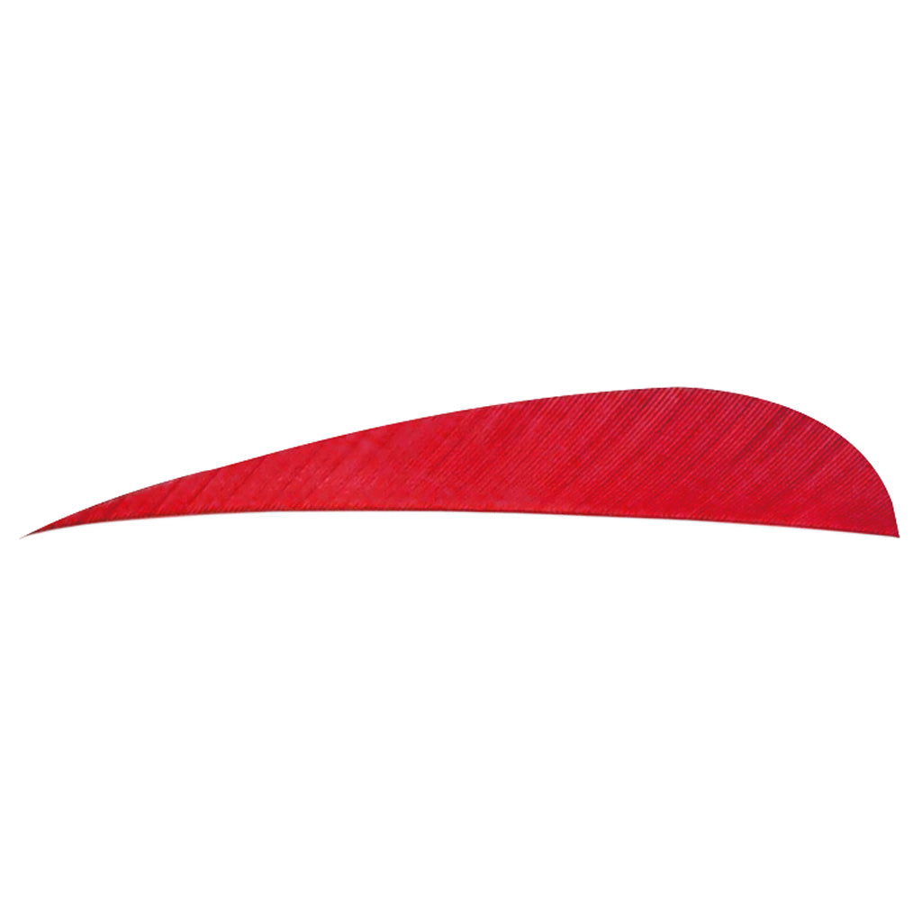Trueflight Parabolic Feathers Red 4 in. RW - 100 Pack