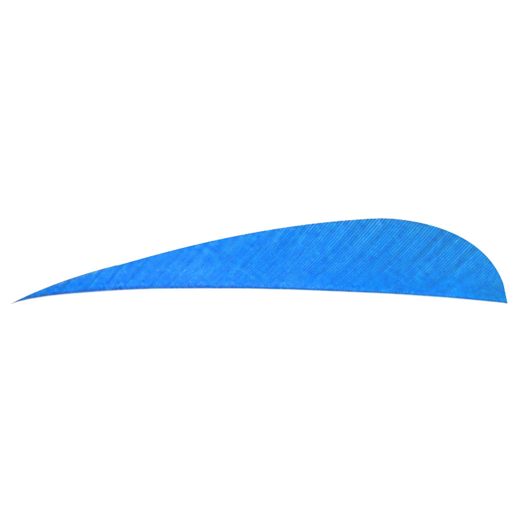 Trueflight Parabolic Feathers Blue 4 in. RW - 100 Pack